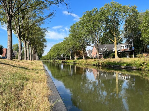 Boomrijke gracht in Leidse Rijn met woonhuizen langs het water op een zonnige dag.